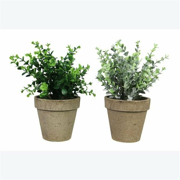 Youngs Artificial Plants in Planter - 2 Assorted 12601